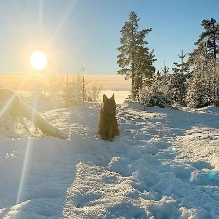 Tatil Evi 4 Star In Fall-by Traum *